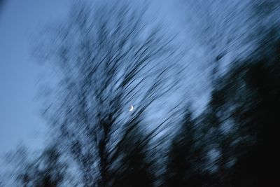 Defocused image of tree on snow covered landscape