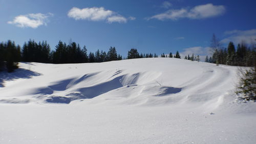 Snow covered land and trees against sky