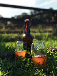 Close-up of glass bottle on field