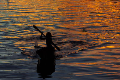 Silhouette of people in water