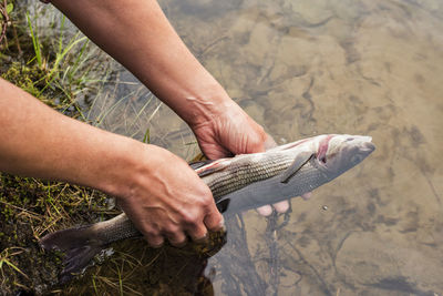 Woman preparing fish after fishing