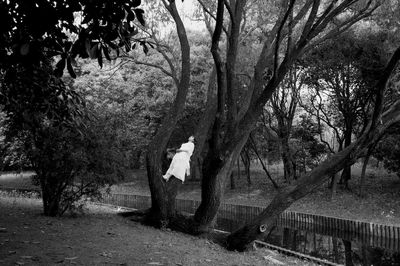 People standing on footpath amidst trees