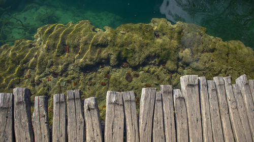 High angle view of wooden fence by trees