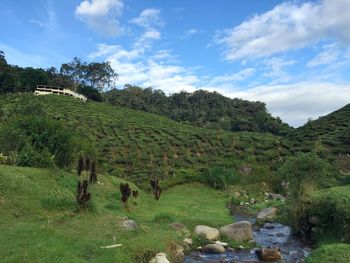 Scenic view of grassy field against cloudy sky