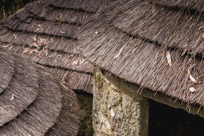 Full frame shot of wooden roof