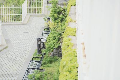 High angle view of empty metallic benches by plants