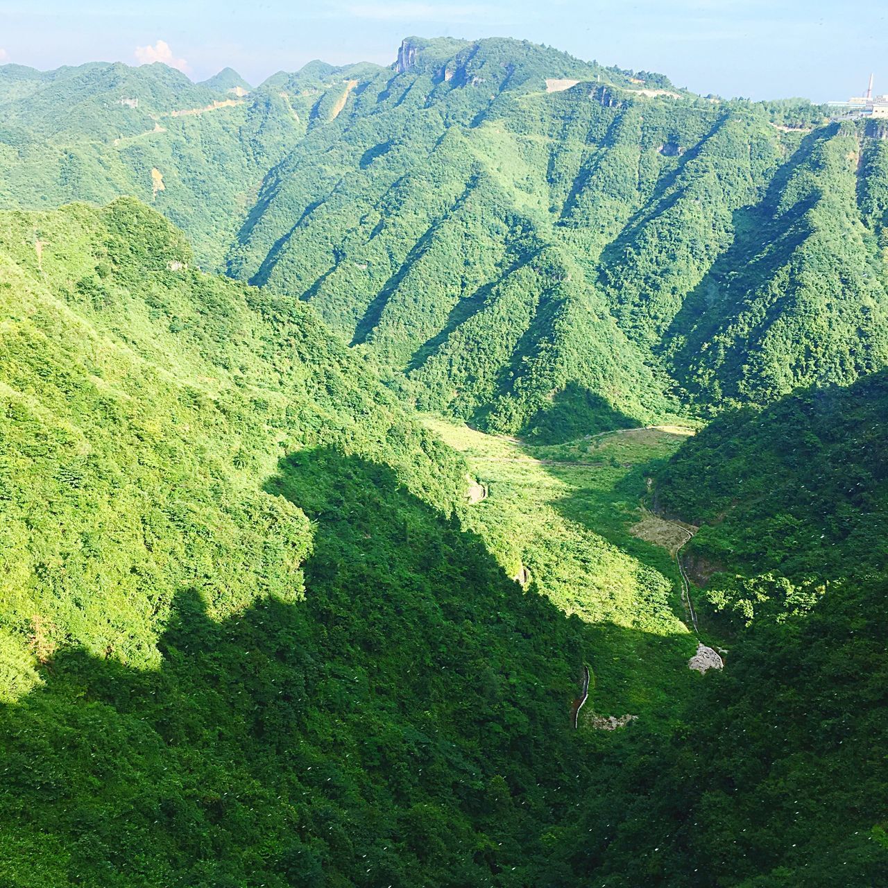 mountain, nature, landscape, beauty in nature, mountain range, green color, agriculture, scenics, day, no people, growth, outdoors, tea crop, sky