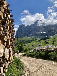 Catinaccio dolomites. on the left is a pile of trees felled by storm vaia in 2018. a woman walks.