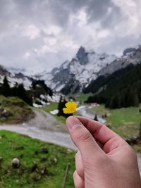Person holding yellow flowers