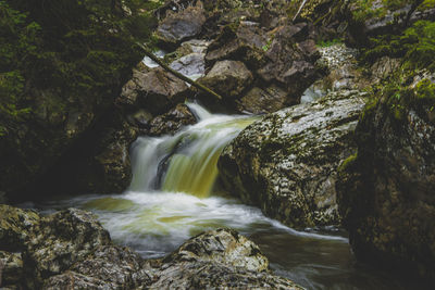 Scenic view of waterfall in forest