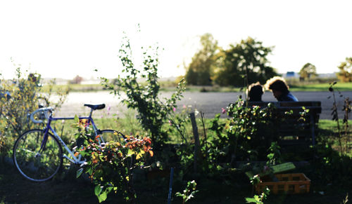 Bicycle on plants against clear sky