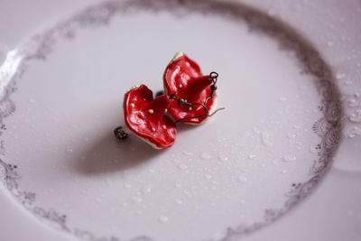 High angle view of red fruit in plate