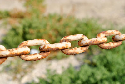 Close-up of rusty metal fence on field