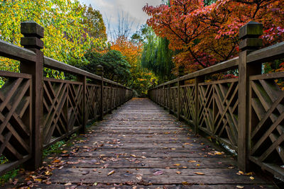 Bridge amidst trees in autumn against sky