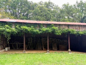 View of trees on built structure