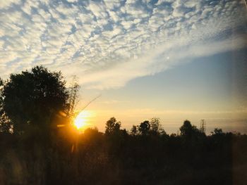 Silhouette trees against sky during sunset