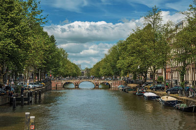 Tree-lined canal with old buildings and boats in amsterdam. the netherland capital full of canals.