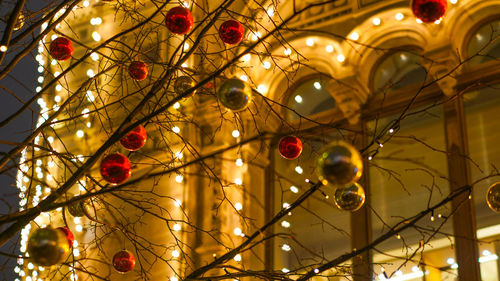 Low angle view of illuminated christmas tree