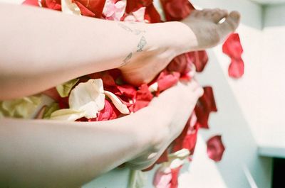 Close-up of flowers in hand