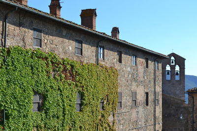 Ivy covered old building in tuscany, italy