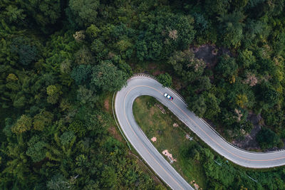 High angle view of road amidst trees