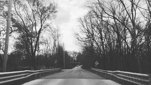 Road passing through bare trees