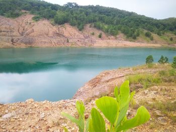 Scenic view of lake