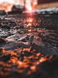 Close-up of fire in water at night