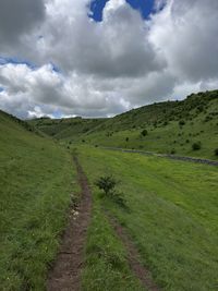 environment
