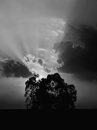 Low angle view of silhouette trees against sky