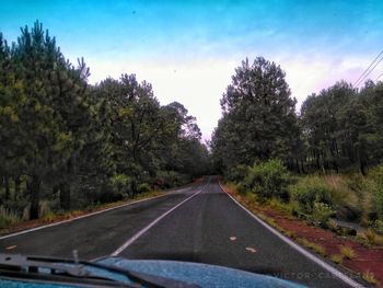 Road amidst trees against sky seen through car windshield