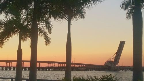 Silhouette of palm trees at seaside