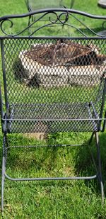 Green landscape seen through chainlink fence