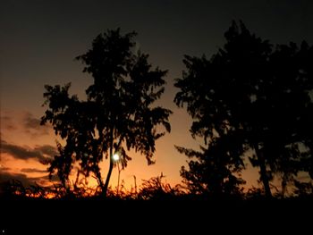 Silhouette trees against sky at sunset