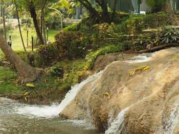 Scenic view of waterfall in forest