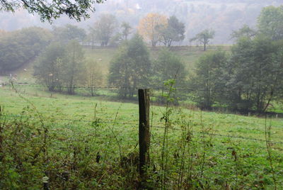 Wooden fence on field by trees in forest