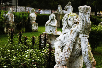 Buddha statue in park