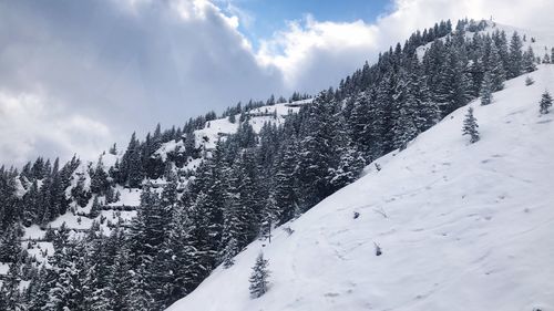 Scenic view of snow covered landscape against sky