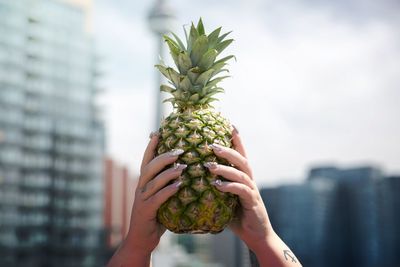 Cropped hand holding pineapple