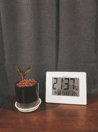 Close-up of potted plant on table at home