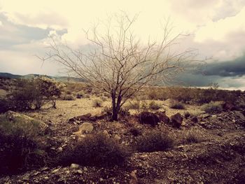 Scenic view of landscape against cloudy sky
