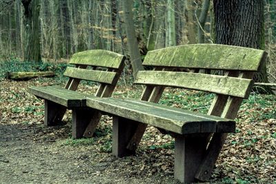 Empty bench in park