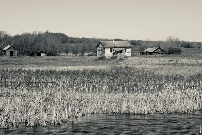 Scenic view of field by lake against sky