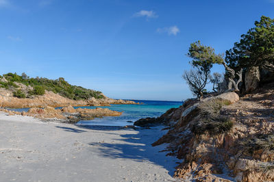 Scenic view of beach against blue sky