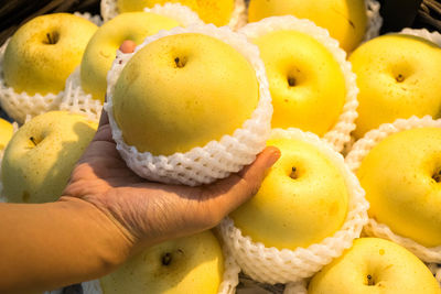 Close-up of oranges