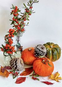 Arrangement of pumpkins, pine cones and rowan berry branches on white background.