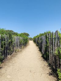 Footpath amidst field against clear sky