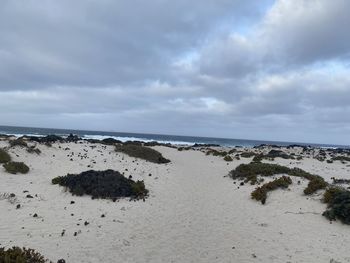 Playa volcánica orzola lanzarote