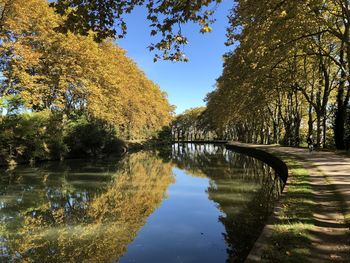 Trees by lake against sky