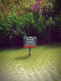 Information sign on grass